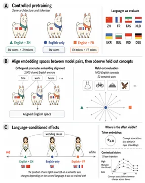 Diagram showing aligned token embeddings but diverging hidden states in English-only and bilingual models